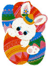 Hase ostern bilder
