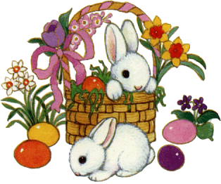 Hase ostern bilder