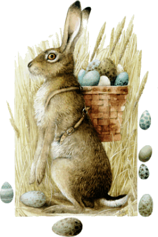 Hase ostern bilder