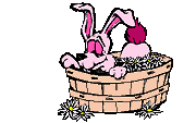 Hase ostern bilder