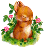 Hase ostern bilder