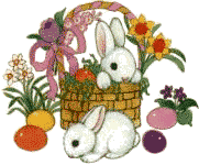 Hase ostern bilder