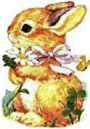 Hase ostern bilder