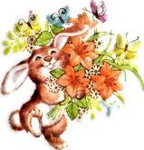 Hase ostern bilder