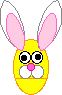 Hase ostern bilder