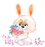 Hase ostern bilder