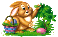 Hase ostern bilder