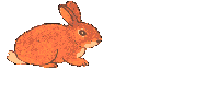 Hase ostern bilder