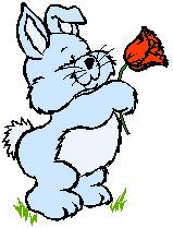 Hase ostern bilder