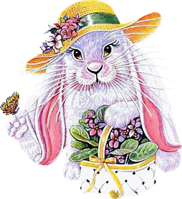 Hase ostern bilder