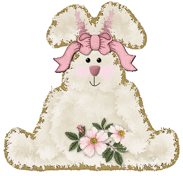 Hase ostern bilder