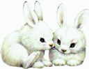 Kaninchen ostern bilder