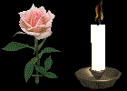 Kerzen