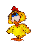 Kuken ostern bilder