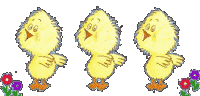 Kuken ostern bilder