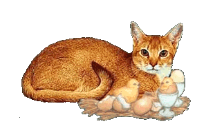 Liebe ostern bilder