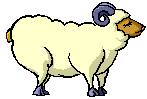 Schafe ostern bilder