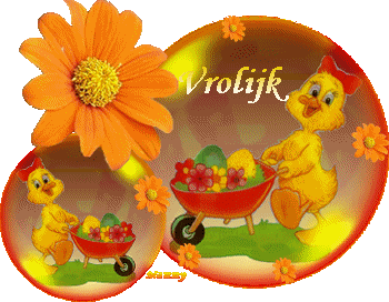 Text ostern bilder