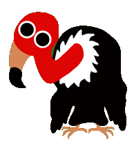 Aasgeier tiere bilder