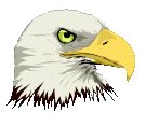 Adler tiere bilder