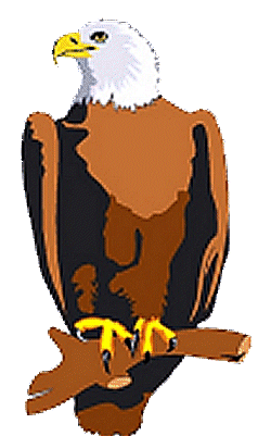 Adler tiere bilder