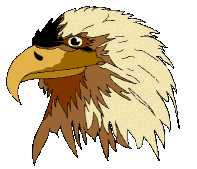 Adler tiere bilder
