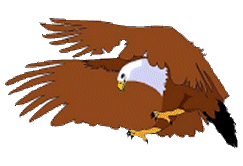 Adler tiere bilder