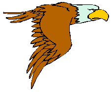 Adler tiere bilder