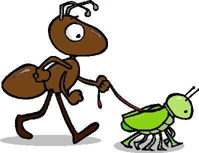 Ameisen tiere bilder