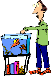 Aquarium tiere bilder