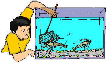 Aquarium tiere bilder