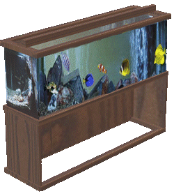 Aquarium tiere bilder