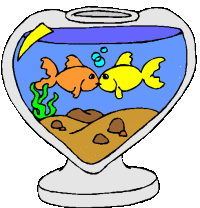 Aquarium tiere bilder