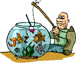 Aquarium tiere bilder