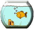 Aquarium tiere bilder