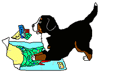 Berner sennenhunde tiere bilder