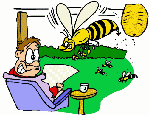 Bienen tiere bilder