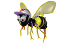 Bienen tiere bilder