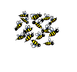 Bienen tiere bilder