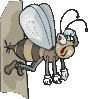 Bienen tiere bilder
