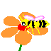 Bienen tiere bilder