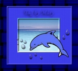 Delfine tiere bilder