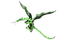 Drachen tiere bilder