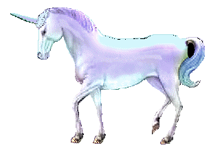 Einhorn tiere bilder