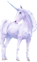 Einhorn tiere bilder