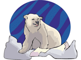 Eisbaren tiere bilder