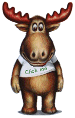 Elche tiere bilder