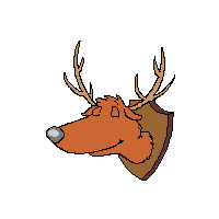 Elche tiere bilder