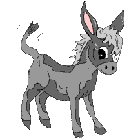 Esel tiere bilder