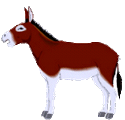 Esel tiere bilder